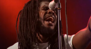 chronixx organixx collection