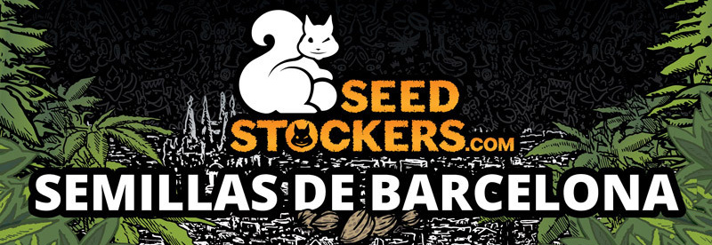 seedstockers cannabis seeds zaden