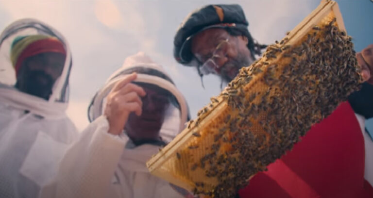 The Bee Whisperer Netflix 2022
