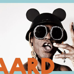 Eek A Mouse Paard Den Haag