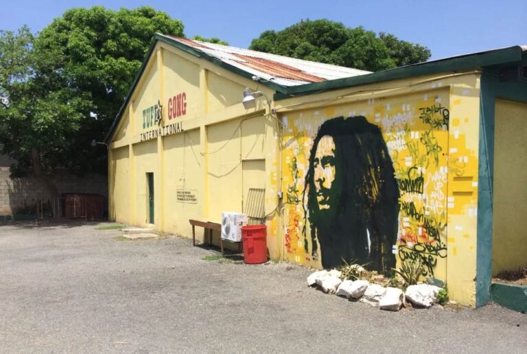 Tuff Gong International Studios - Cedella Marley and Ziggy Marley