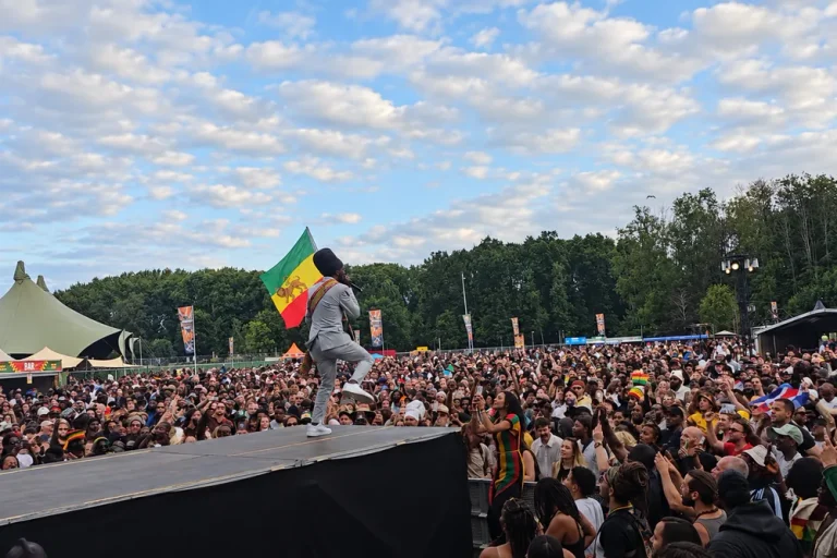 Reggae Roots Rotterdam 2027 Zuiderpark